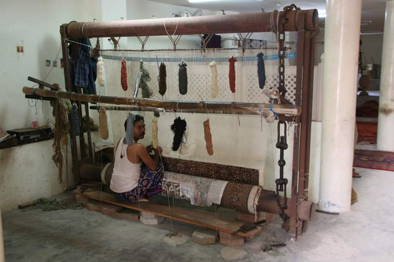 India & Nepal 2011 - 1452